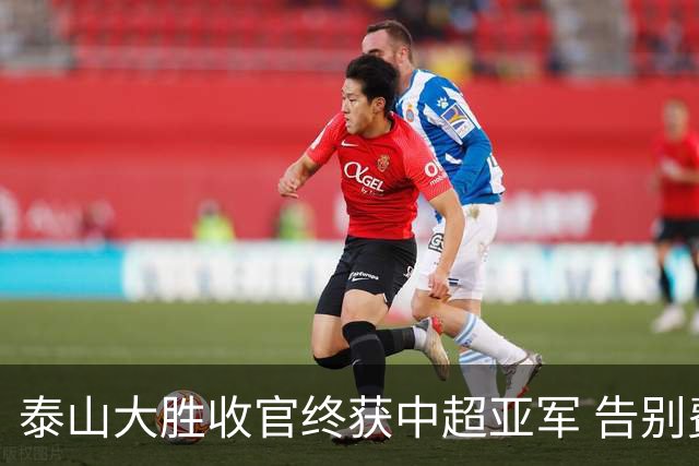 泰山大胜收官终获中超亚军 告别费莱尼致敬传奇