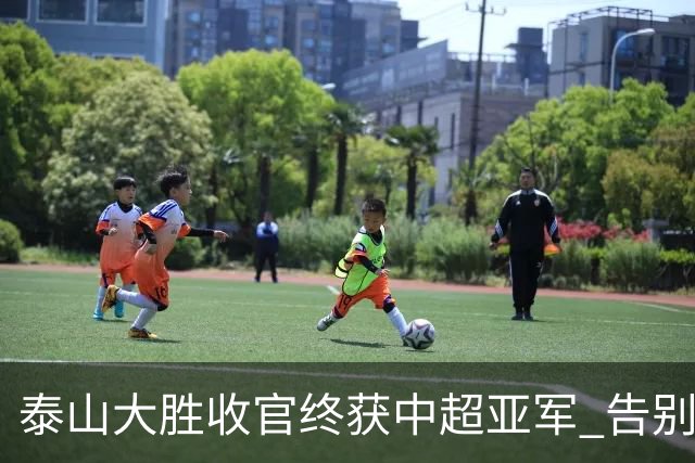 泰山大胜收官终获中超亚军 告别费莱尼致敬传奇