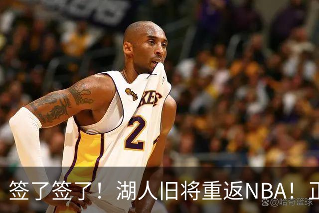 签了签了！湖人旧将重返NBA！正式联手约基奇