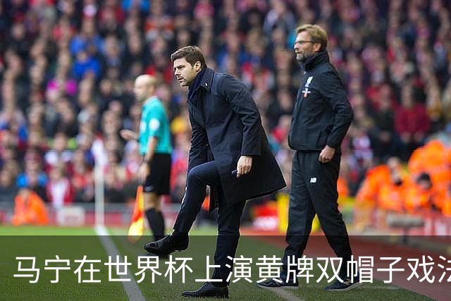 马宁在世界杯上演黄牌双帽子戏法，中国裁判组亮相世界杯！